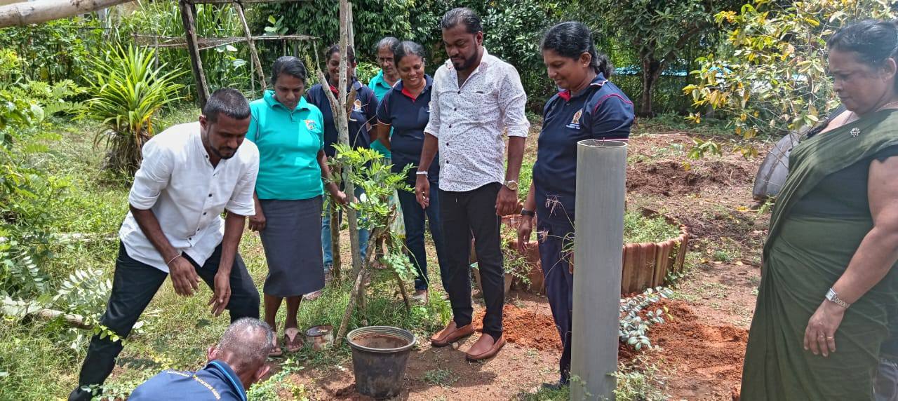 “පුනරුදයේ පුරවර” පළාත් පාලන සතිය